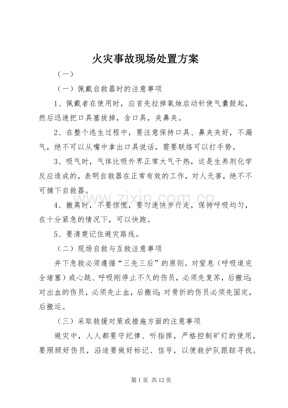 火灾事故现场处置实施方案 .docx_第1页