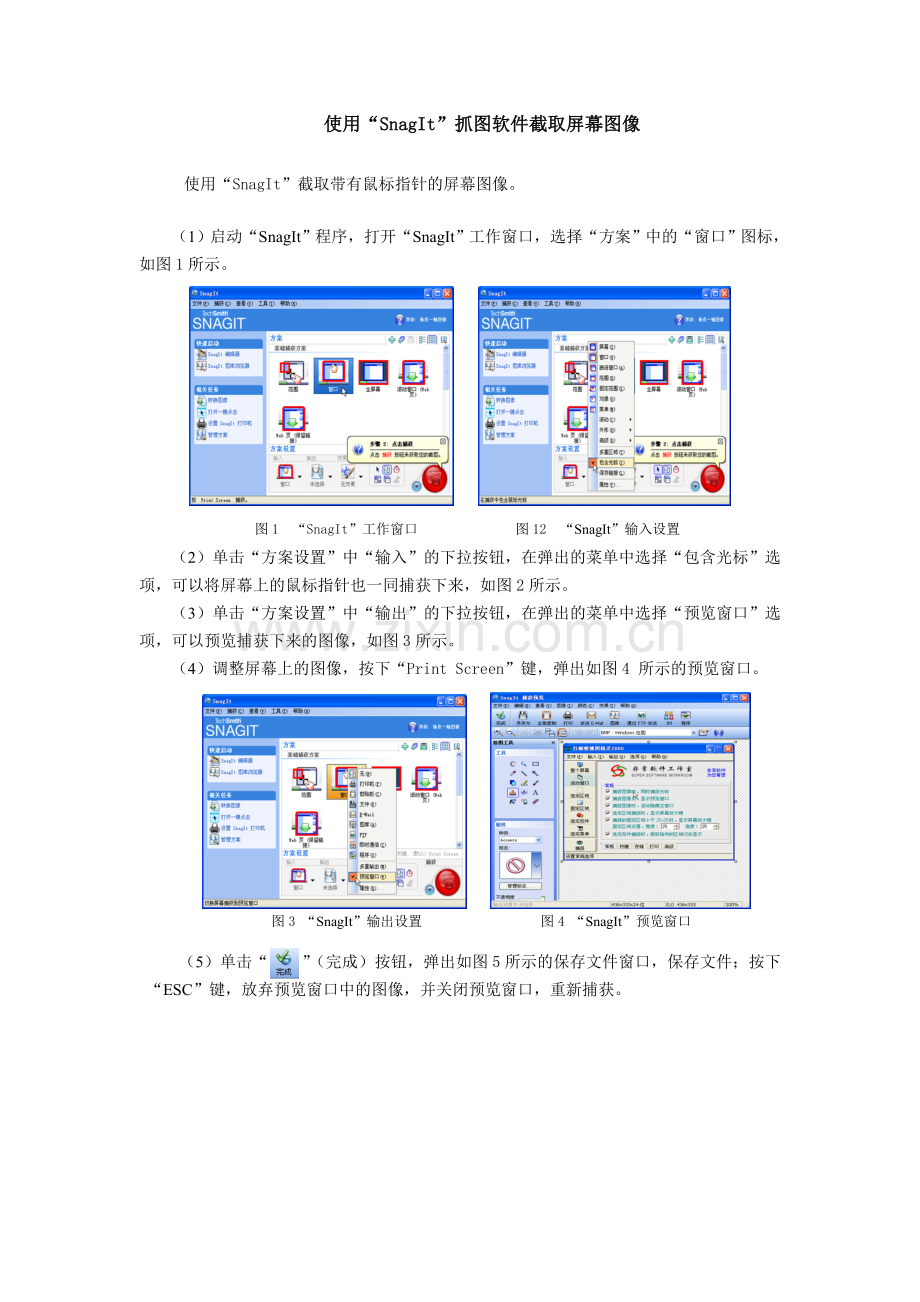 使用“SnagIt”抓图软件截取屏幕图像.doc_第1页