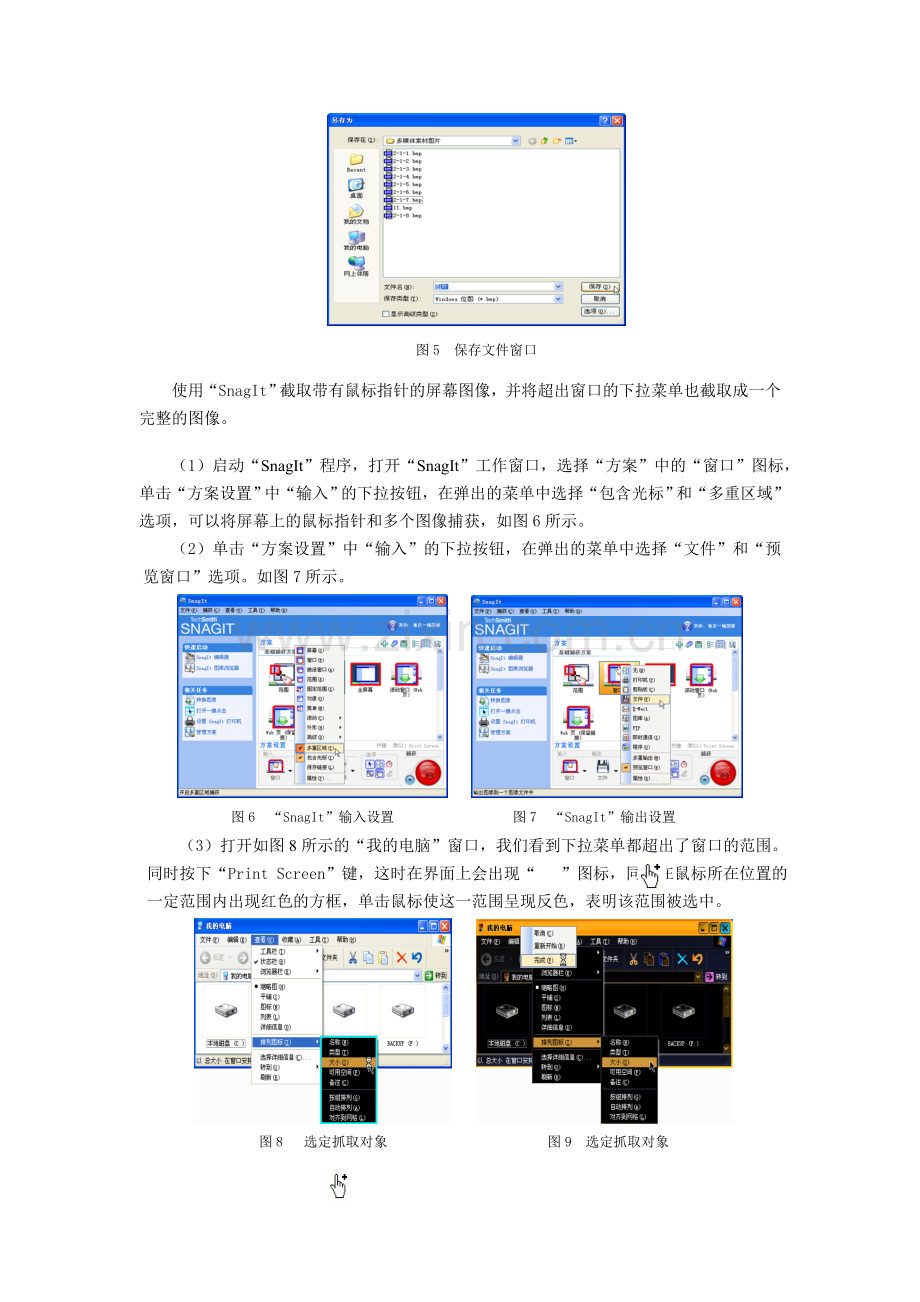 使用“SnagIt”抓图软件截取屏幕图像.doc_第2页