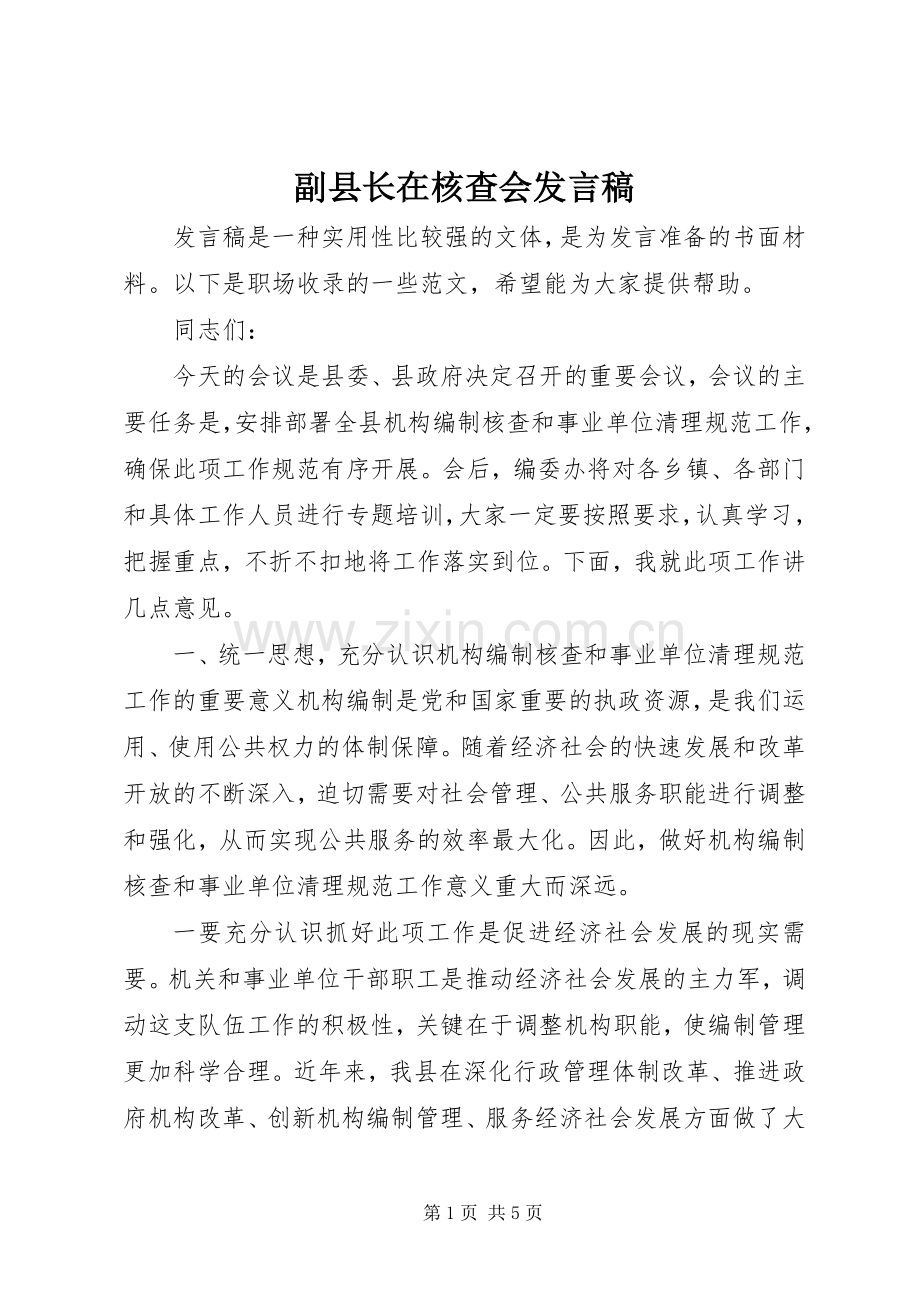 副县长在核查会发言.docx_第1页