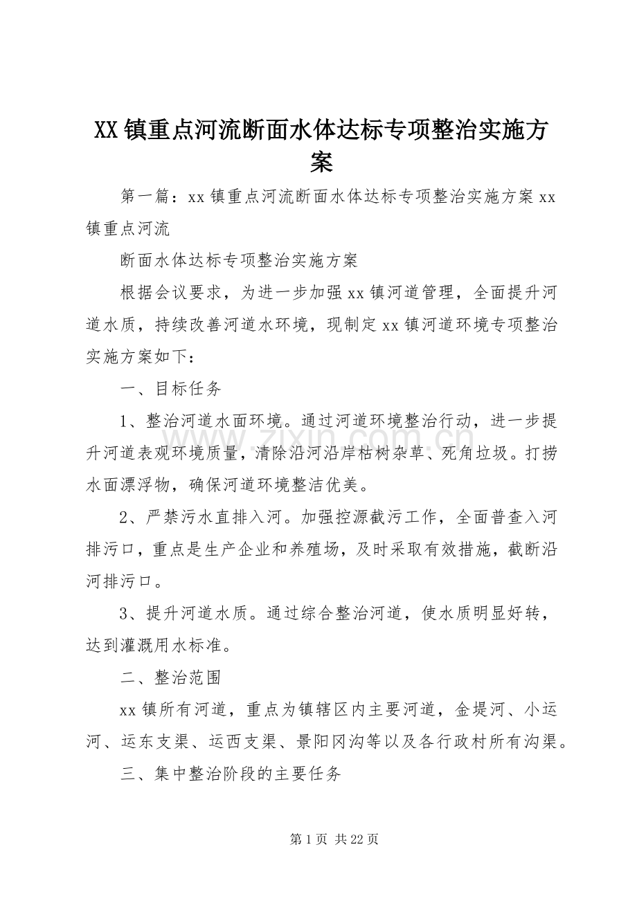 XX镇重点河流断面水体达标专项整治方案.docx_第1页