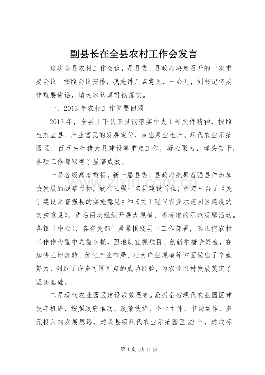 副县长在全县农村工作会发言.docx_第1页