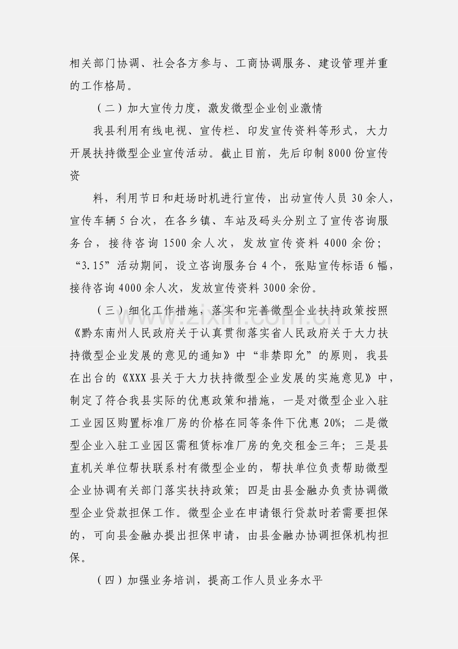 (戴县长)全州扶持微型企业发展工作调度会议汇报.docx_第2页
