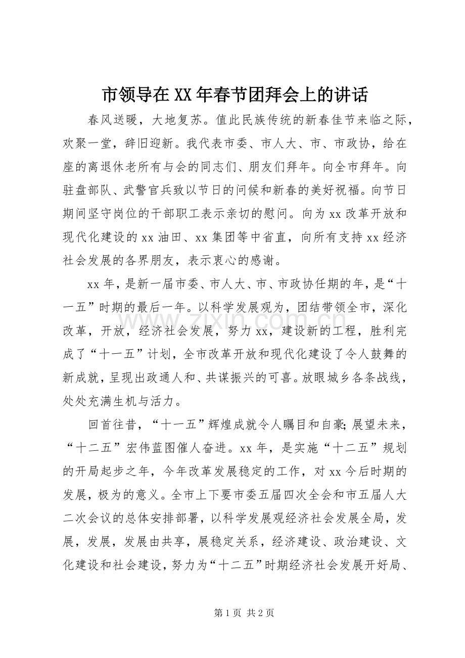 市领导在XX年春节团拜会上的讲话.docx_第1页