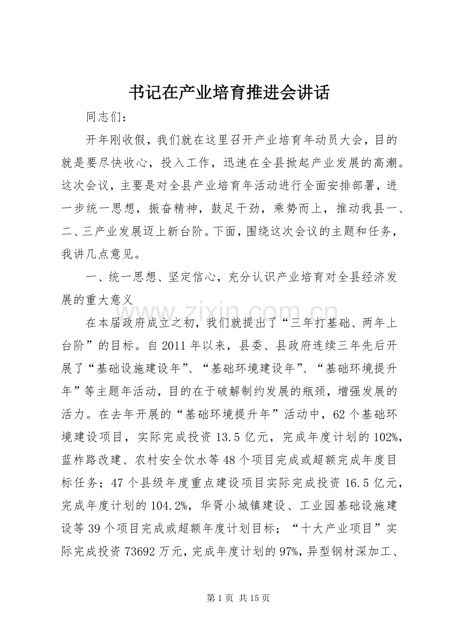 书记在产业培育推进会讲话.docx_第1页