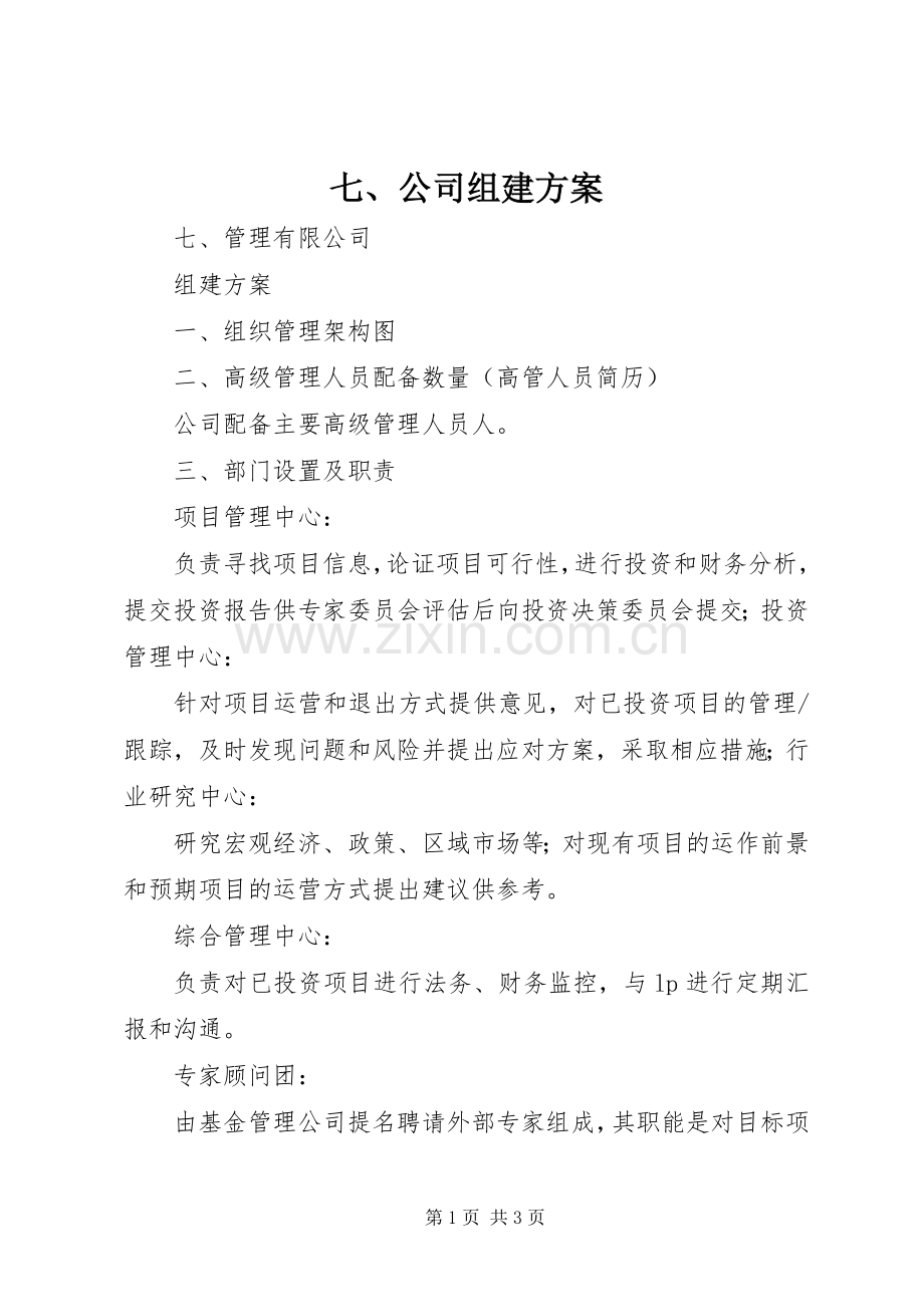 七、公司组建实施方案.docx_第1页