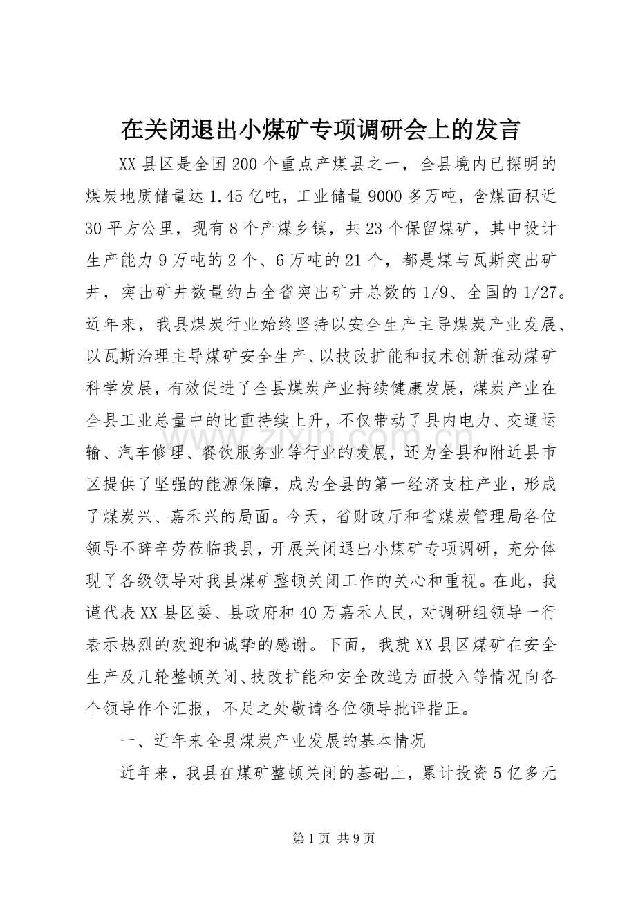 在关闭退出小煤矿专项调研会上的发言稿.docx_第1页