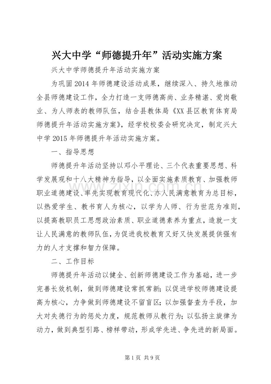 兴大中学“师德提升年”活动方案.docx_第1页