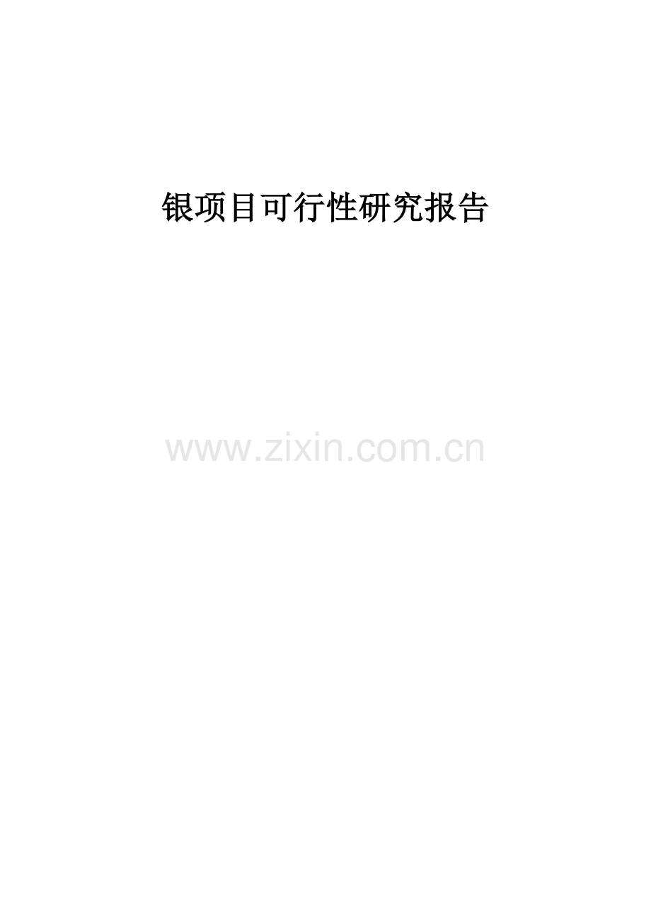 银项目可行性研究报告.docx_第1页