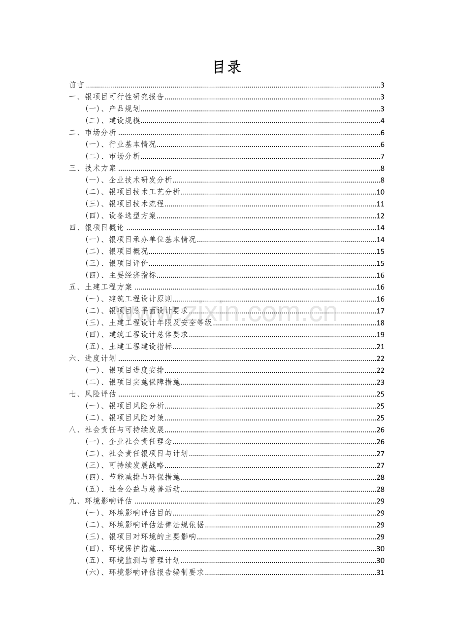 银项目可行性研究报告.docx_第2页