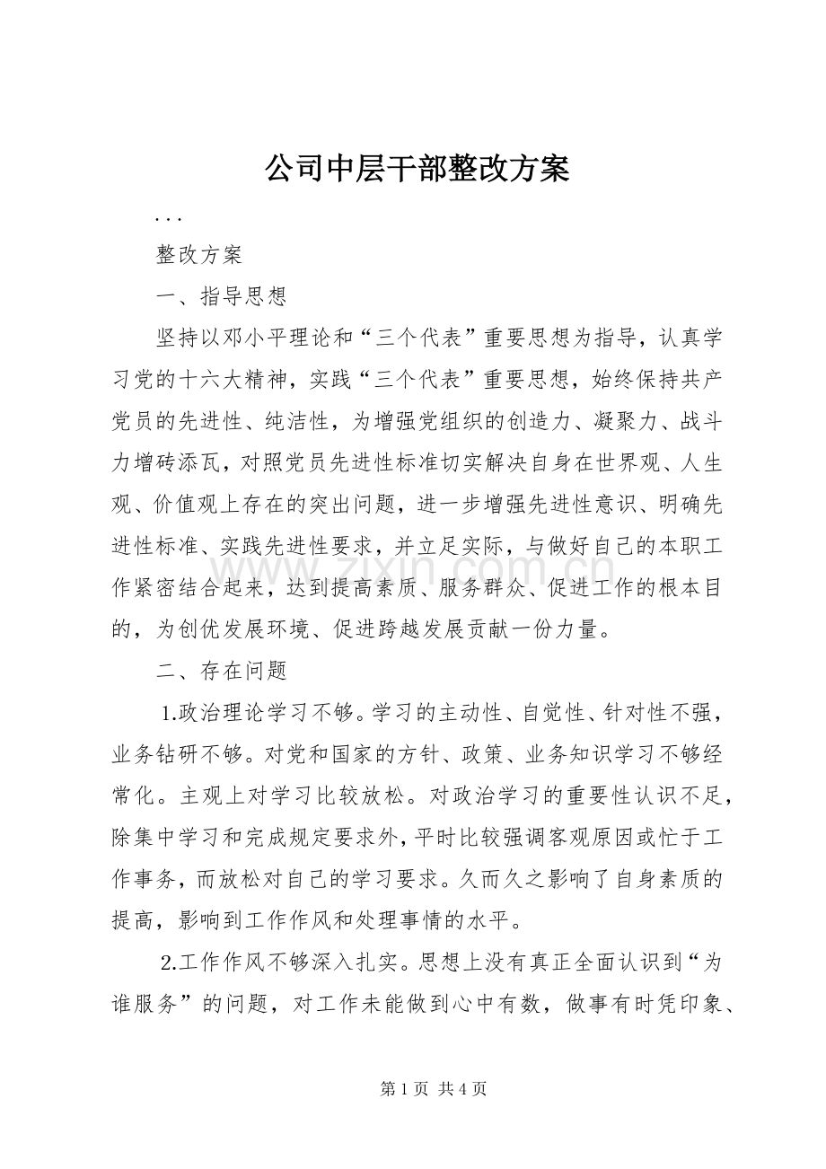 公司中层干部整改实施方案.docx_第1页
