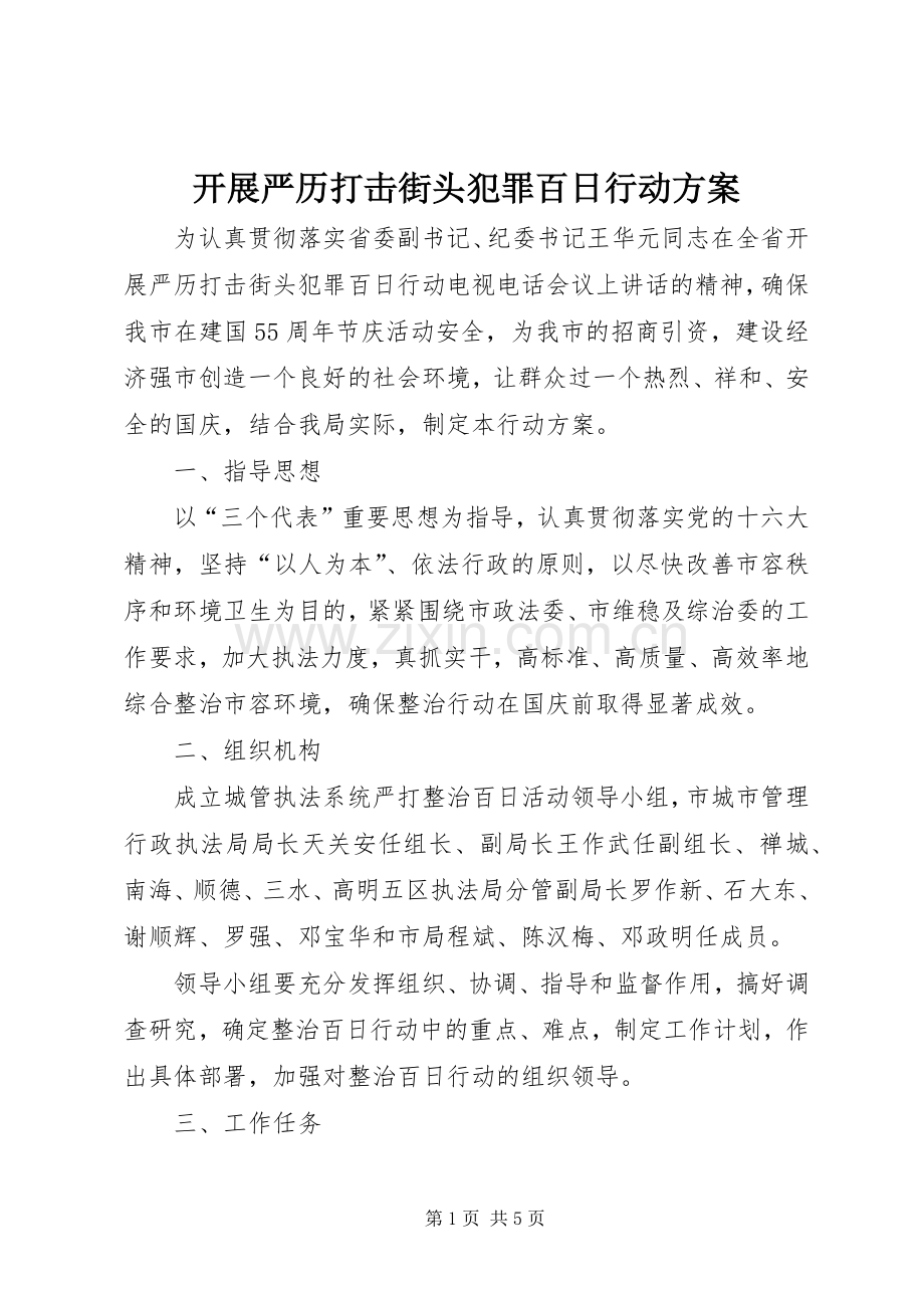 开展严历打击街头犯罪百日行动实施方案.docx_第1页