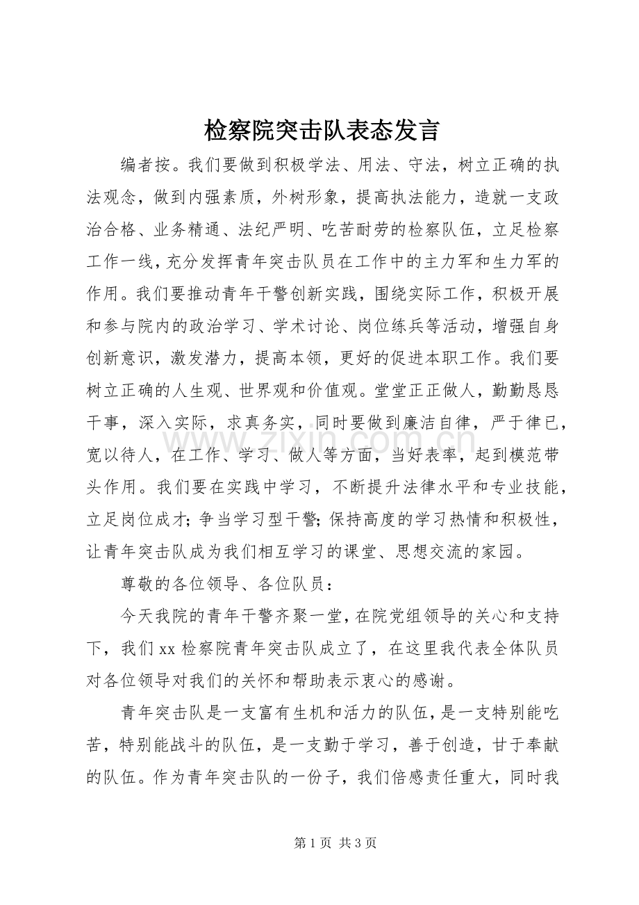 检察院突击队表态发言.docx_第1页