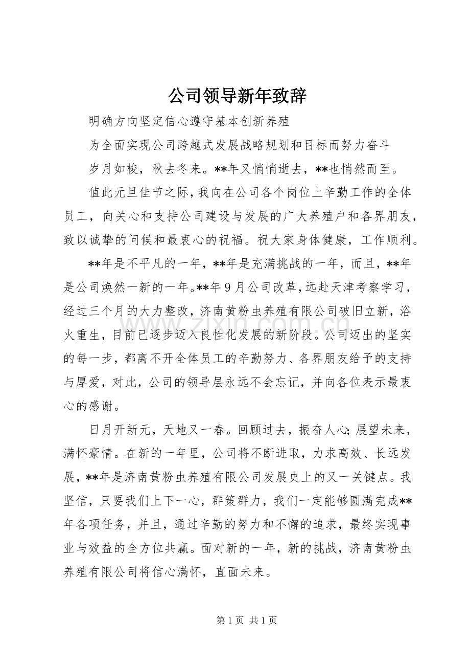 公司领导新年致辞演讲(5).docx_第1页