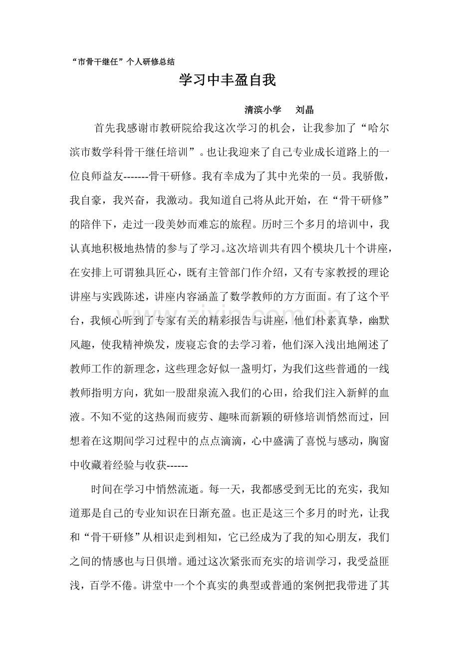 市骨干个人研修总结.doc_第1页