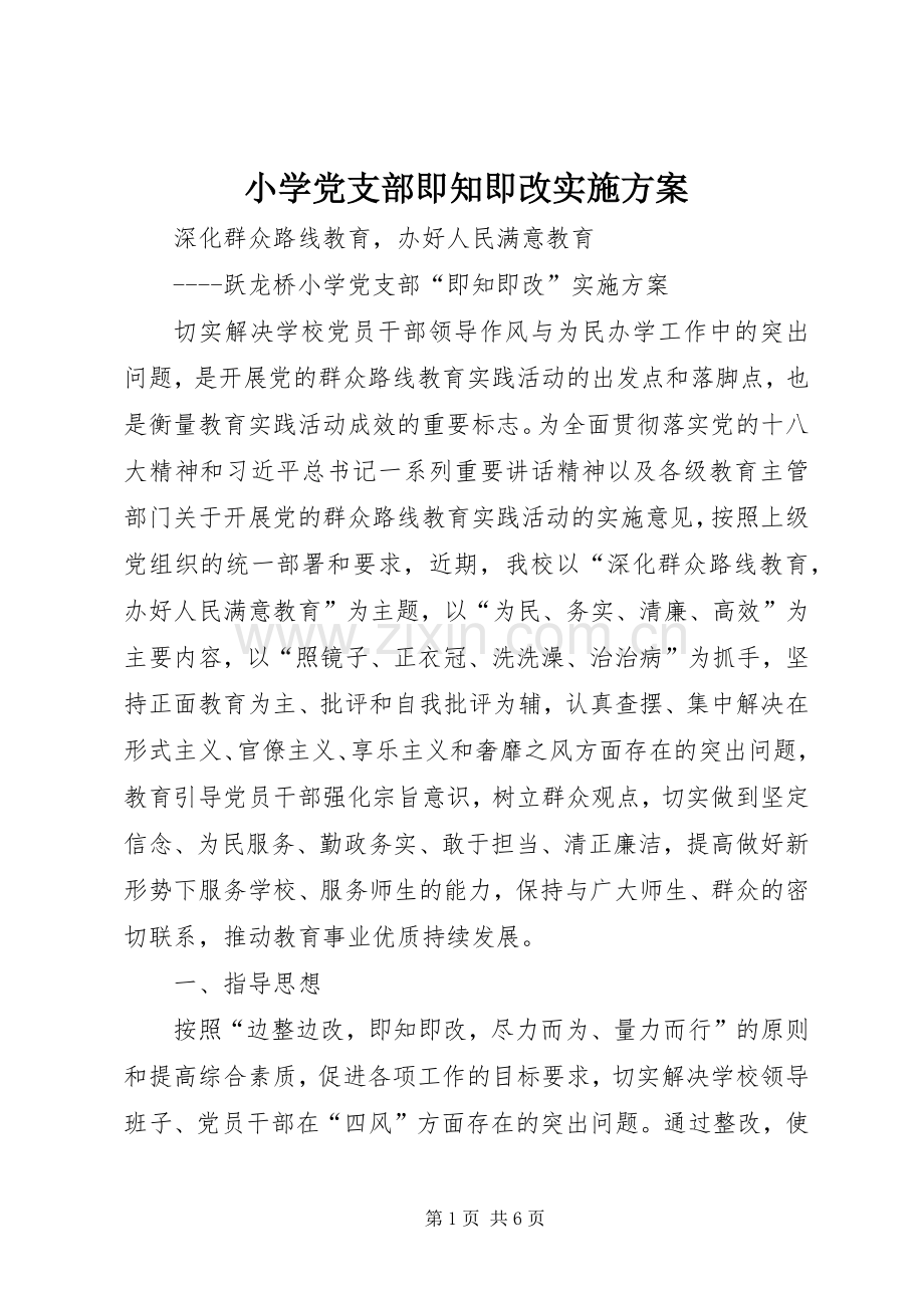 小学党支部即知即改方案.docx_第1页