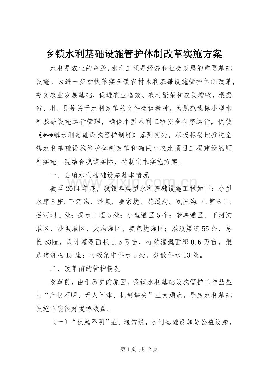 乡镇水利基础设施管护体制改革方案.docx_第1页