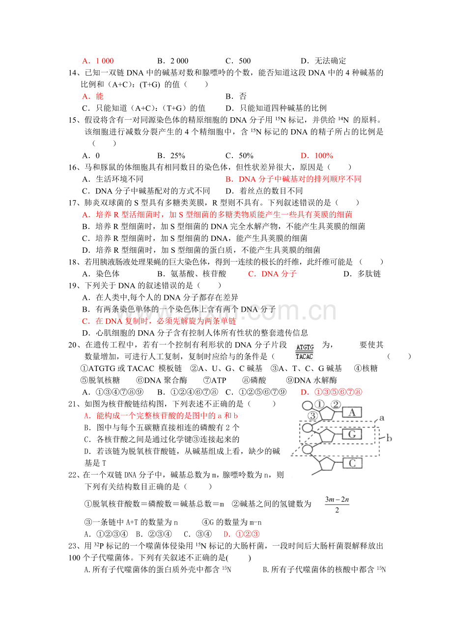 生物章节训练(基因的本质).doc_第2页