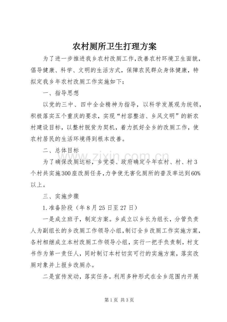 农村厕所卫生打理实施方案.docx_第1页