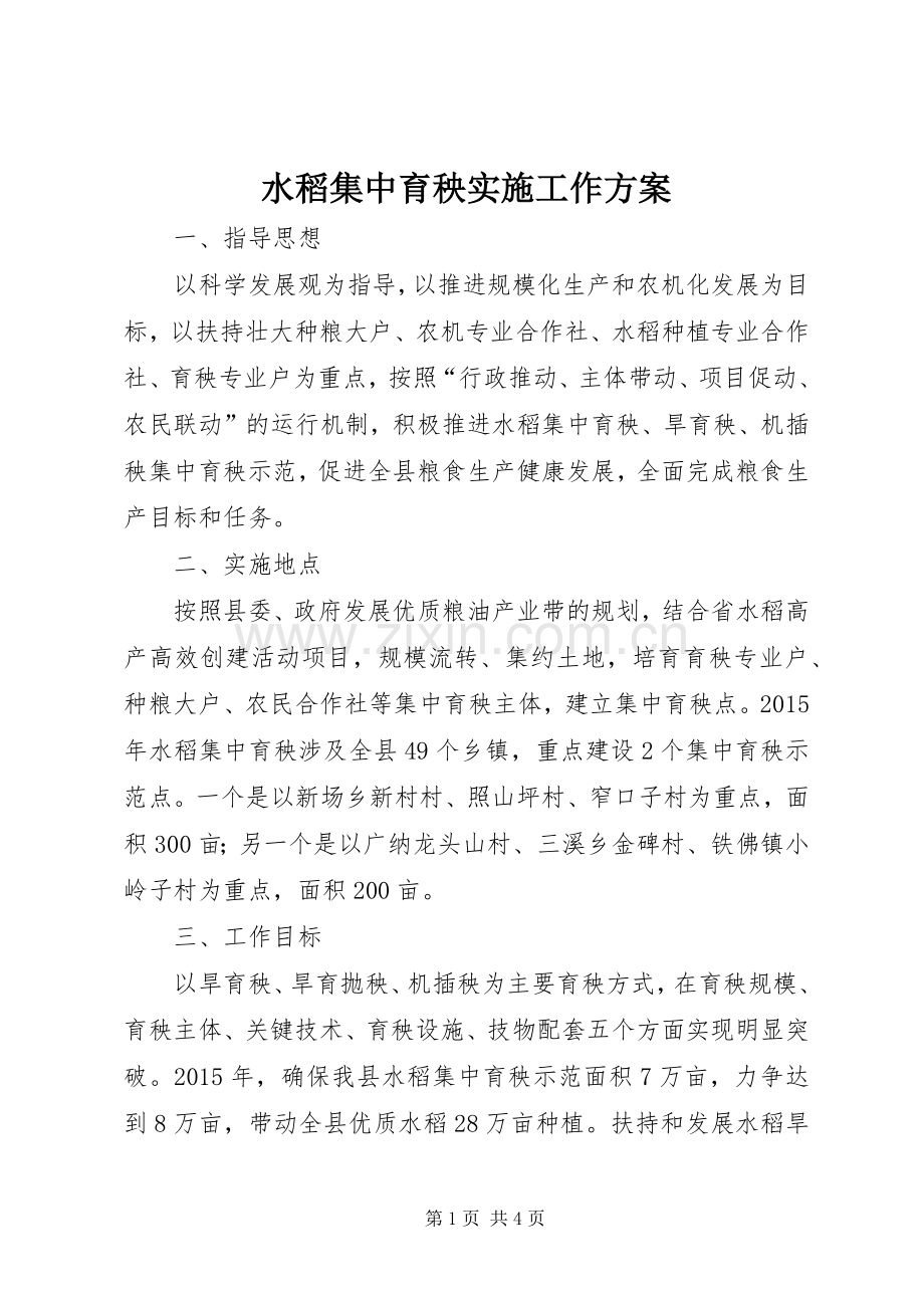 水稻集中育秧实施工作方案.docx_第1页