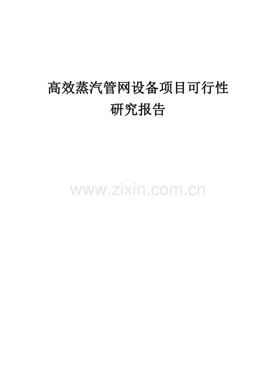 高效蒸汽管网设备项目可行性研究报告.docx_第1页