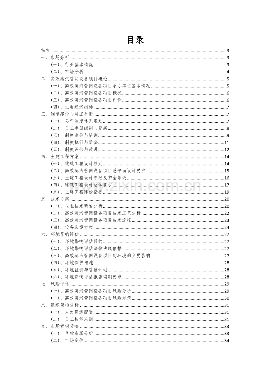 高效蒸汽管网设备项目可行性研究报告.docx_第2页