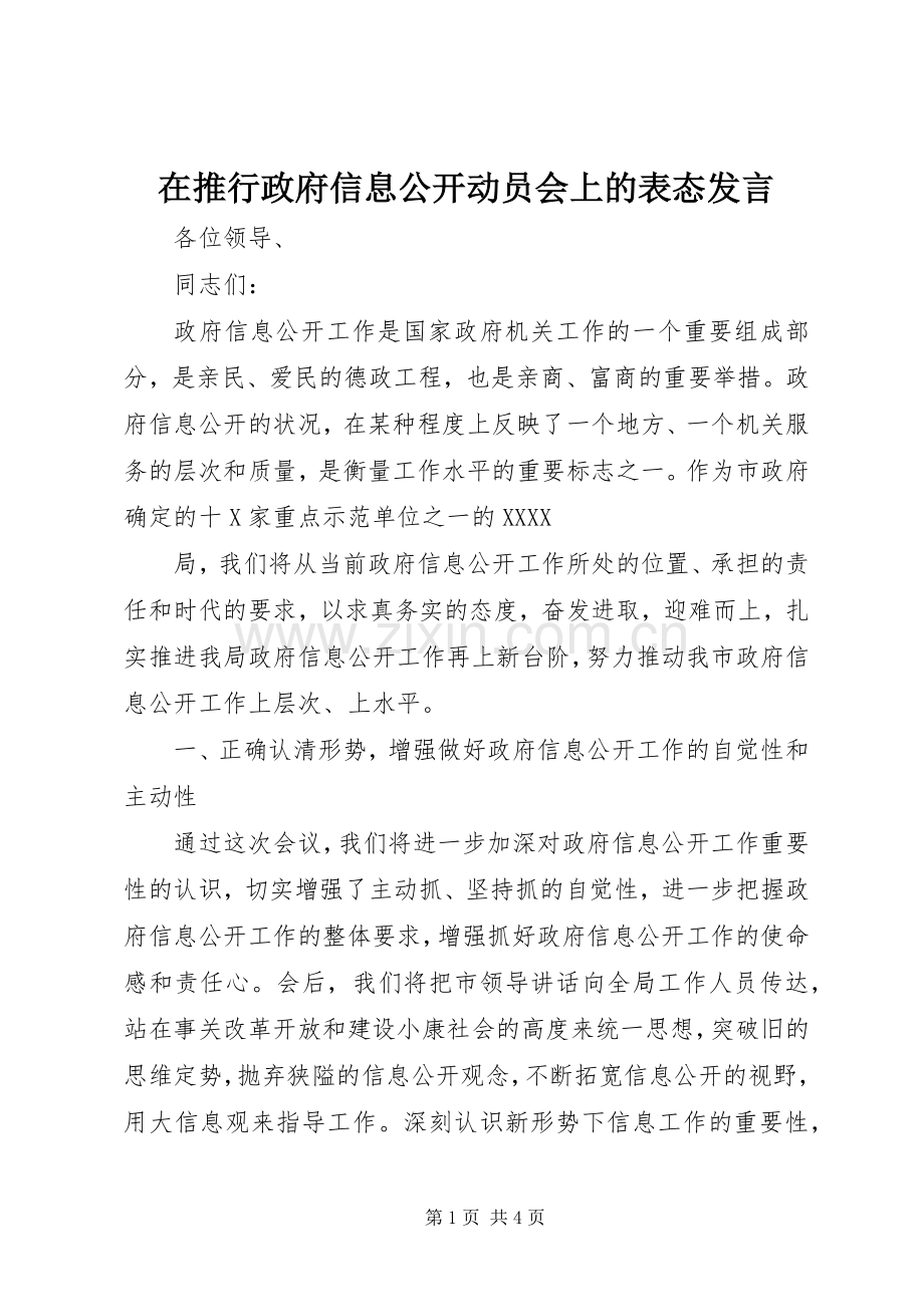 在推行政府信息公开动员会上的表态发言稿.docx_第1页
