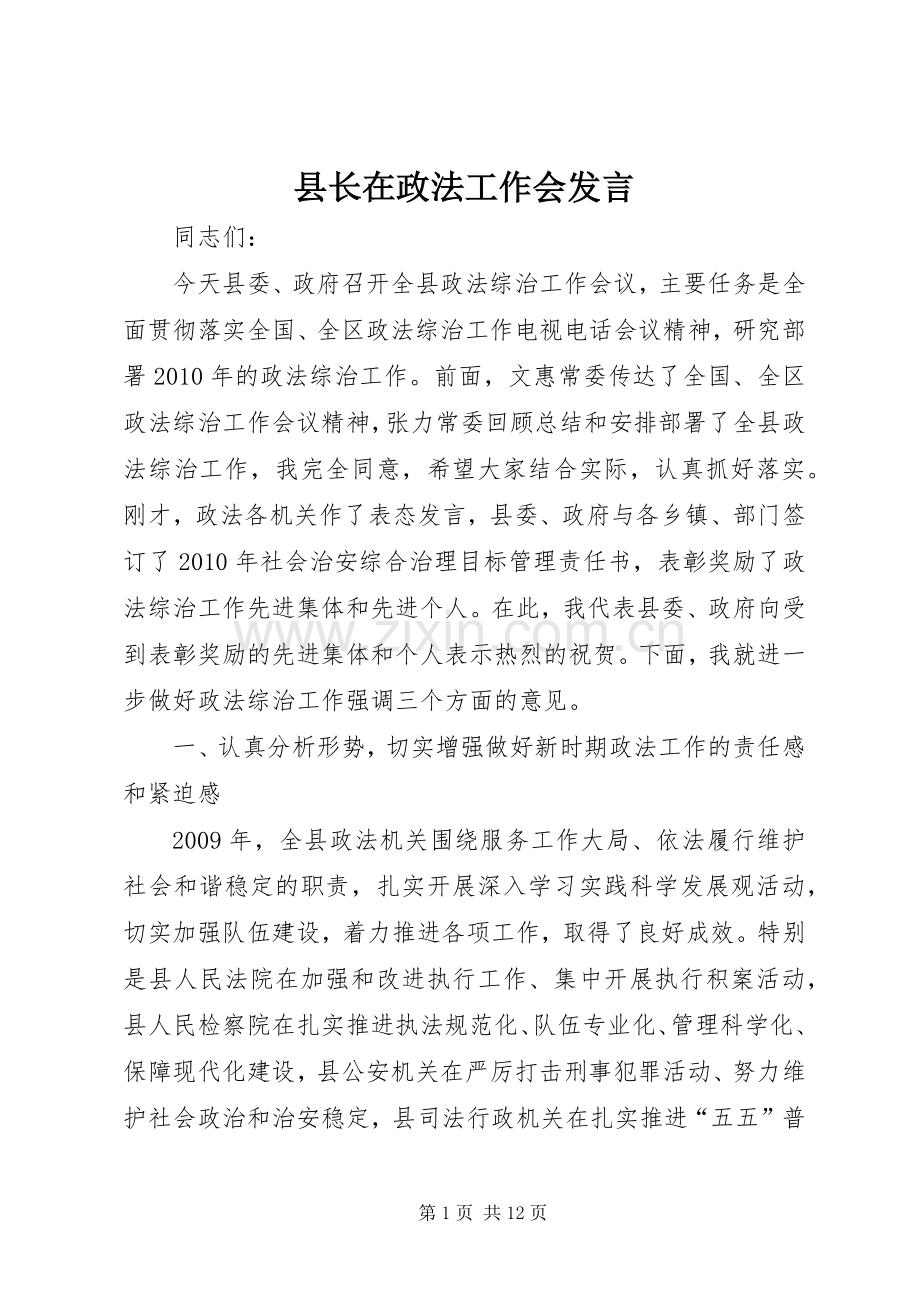 县长在政法工作会发言稿.docx_第1页