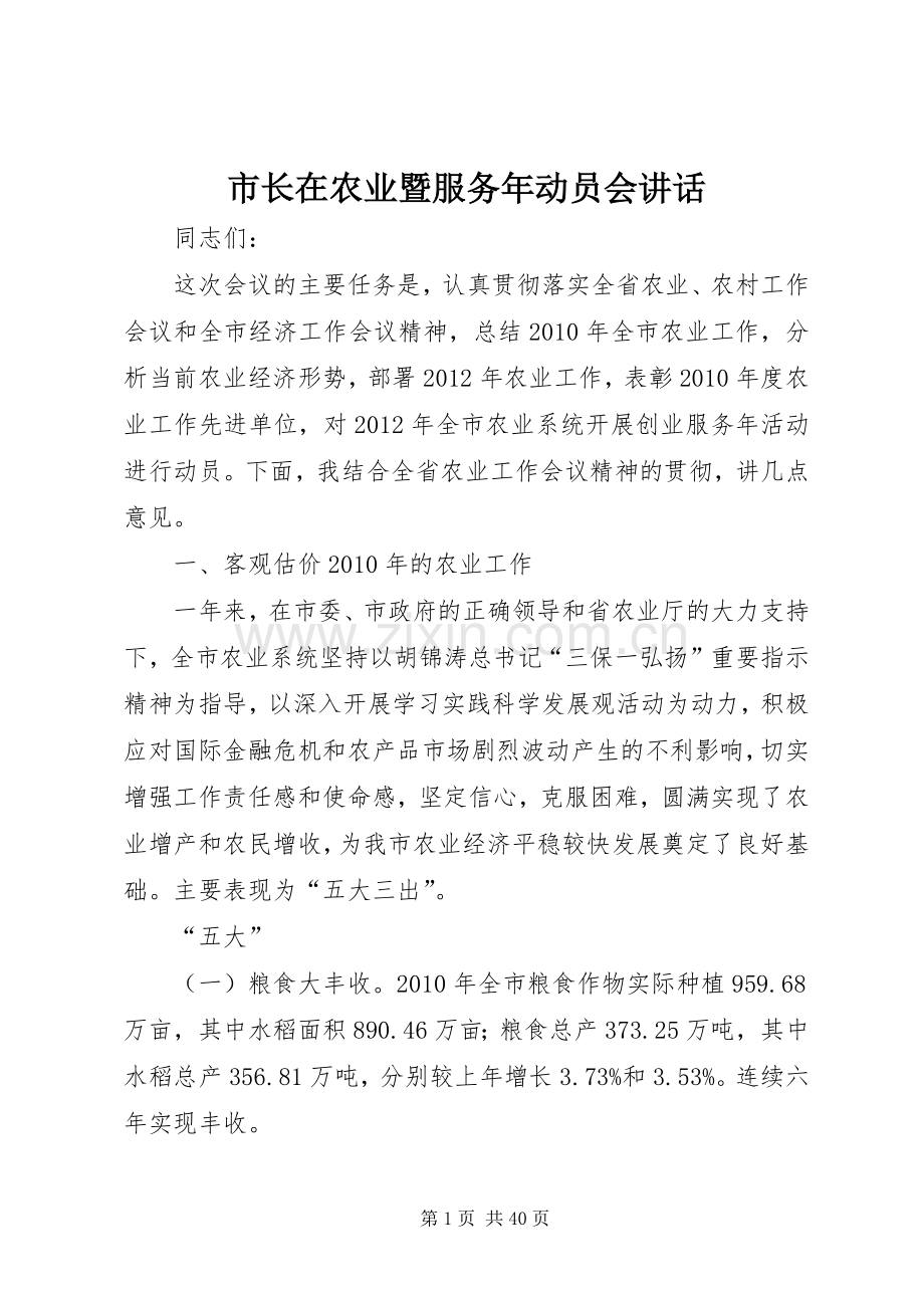 市长在农业暨服务年动员会讲话.docx_第1页