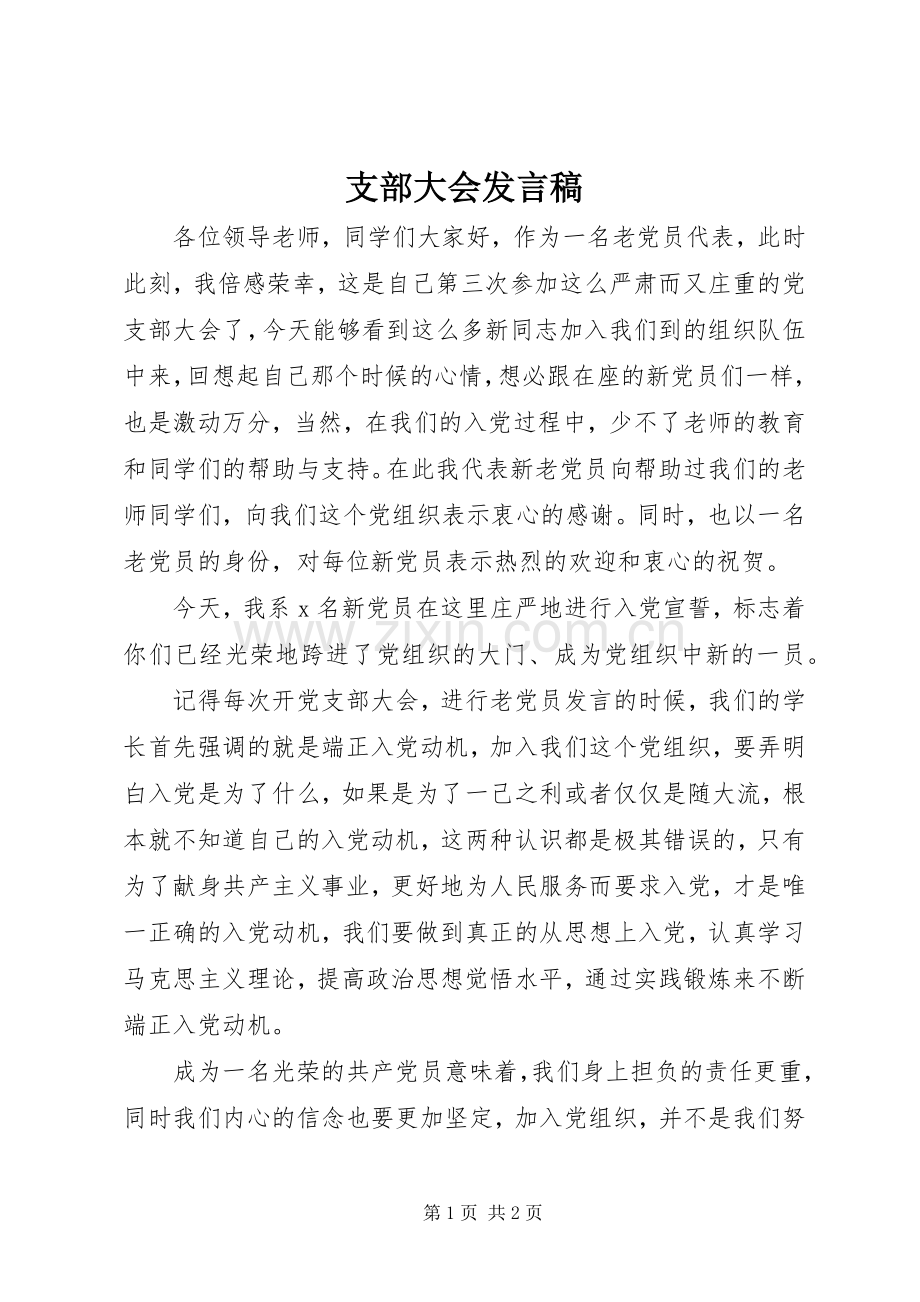 支部大会发言.docx_第1页