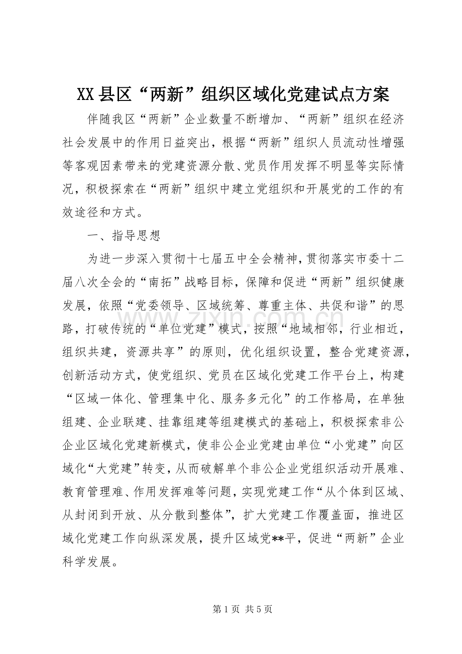 XX县区“两新”组织区域化党建试点实施方案 .docx_第1页