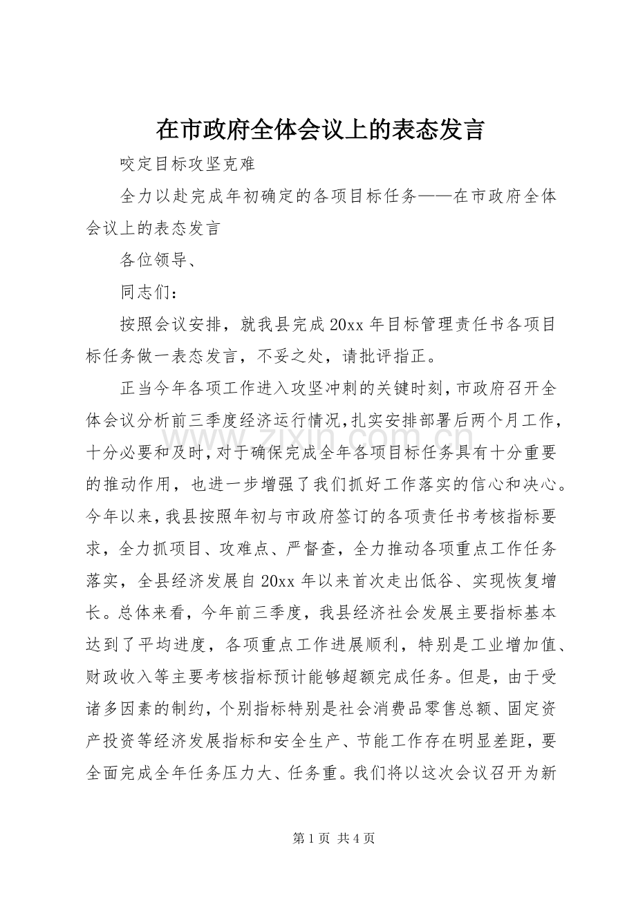 在市政府全体会议上的表态发言稿.docx_第1页