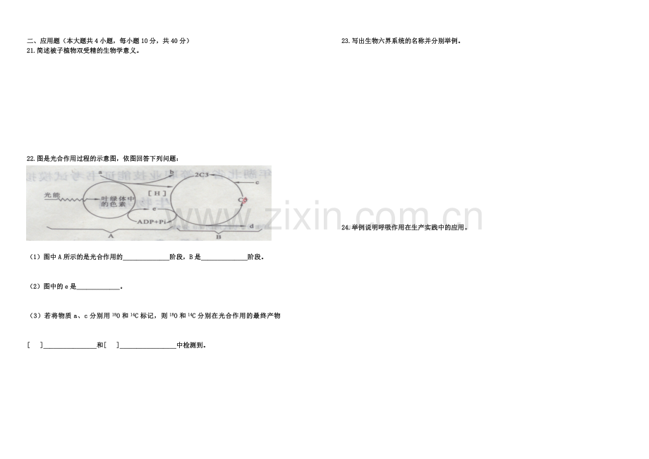 生物基础（二）.doc_第2页
