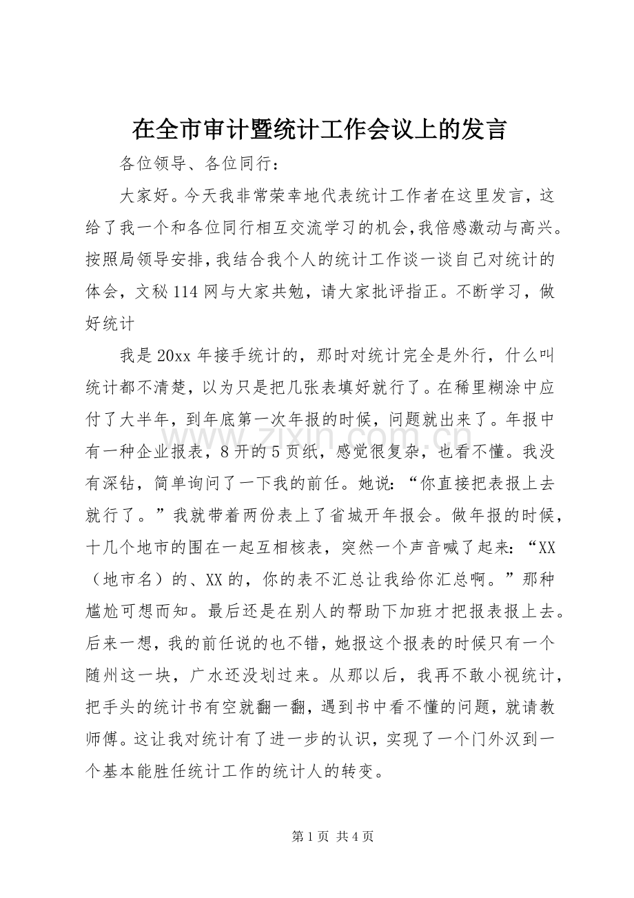 在全市审计暨统计工作会议上的发言稿.docx_第1页