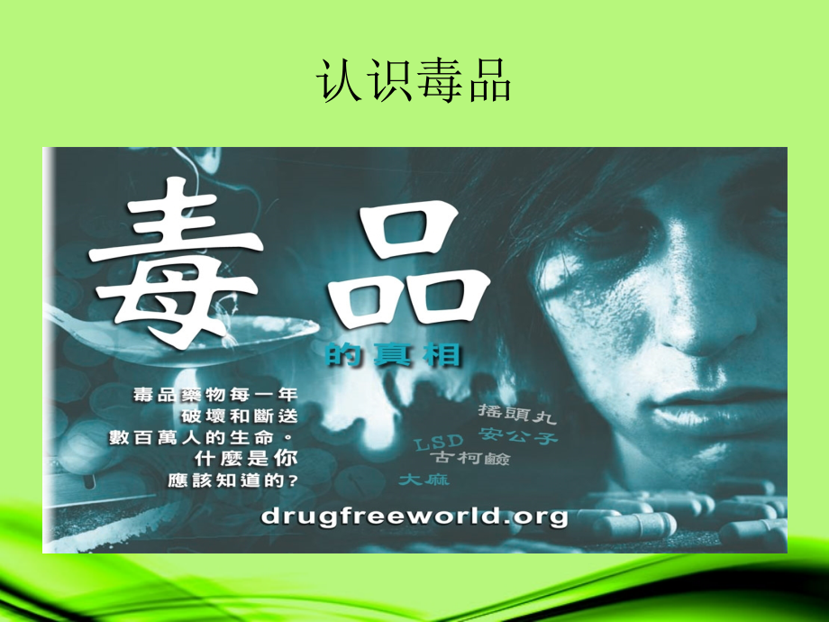 云南省麻栗坡县八年级生物上册(19.2 拒绝毒品)课件 苏教版 课件.ppt_第2页