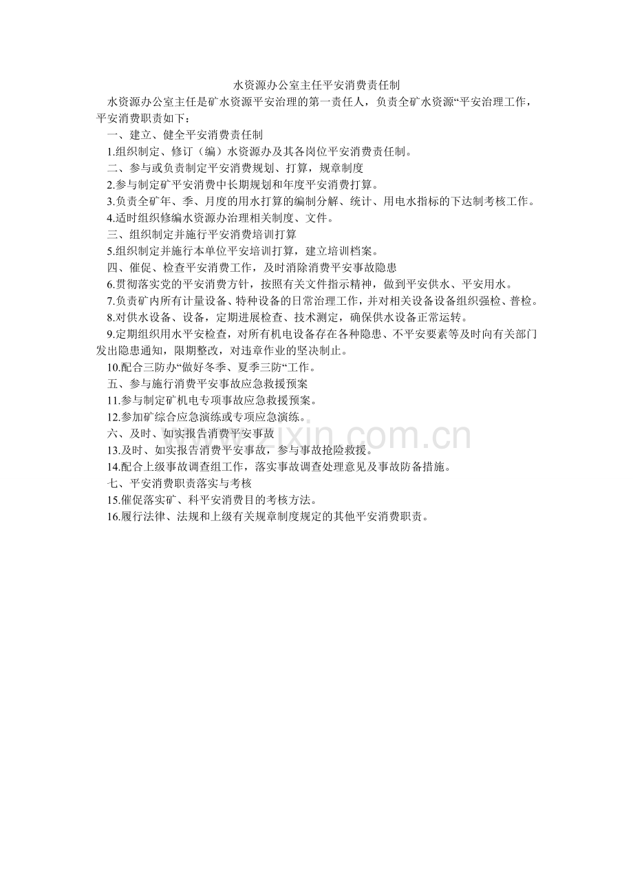 水资源ۥ办公室主任安全生产责任制.doc_第1页
