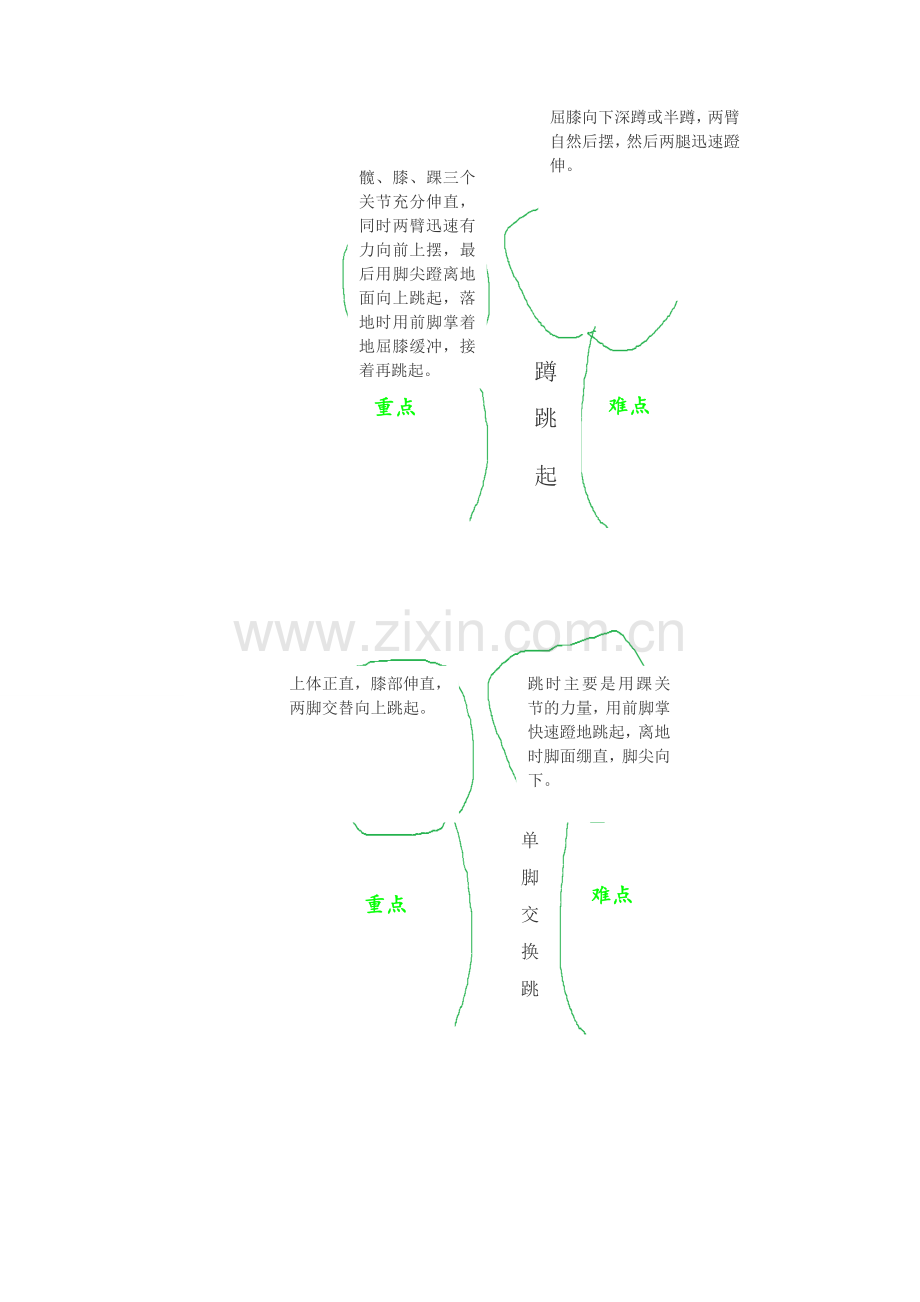 立定跳远知识树.doc_第2页