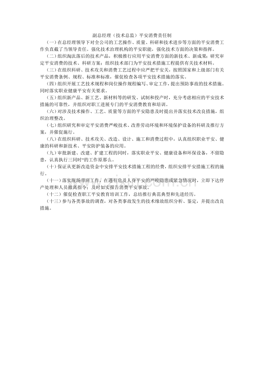 副总经理（技术总监）安全生产责任制.doc_第1页