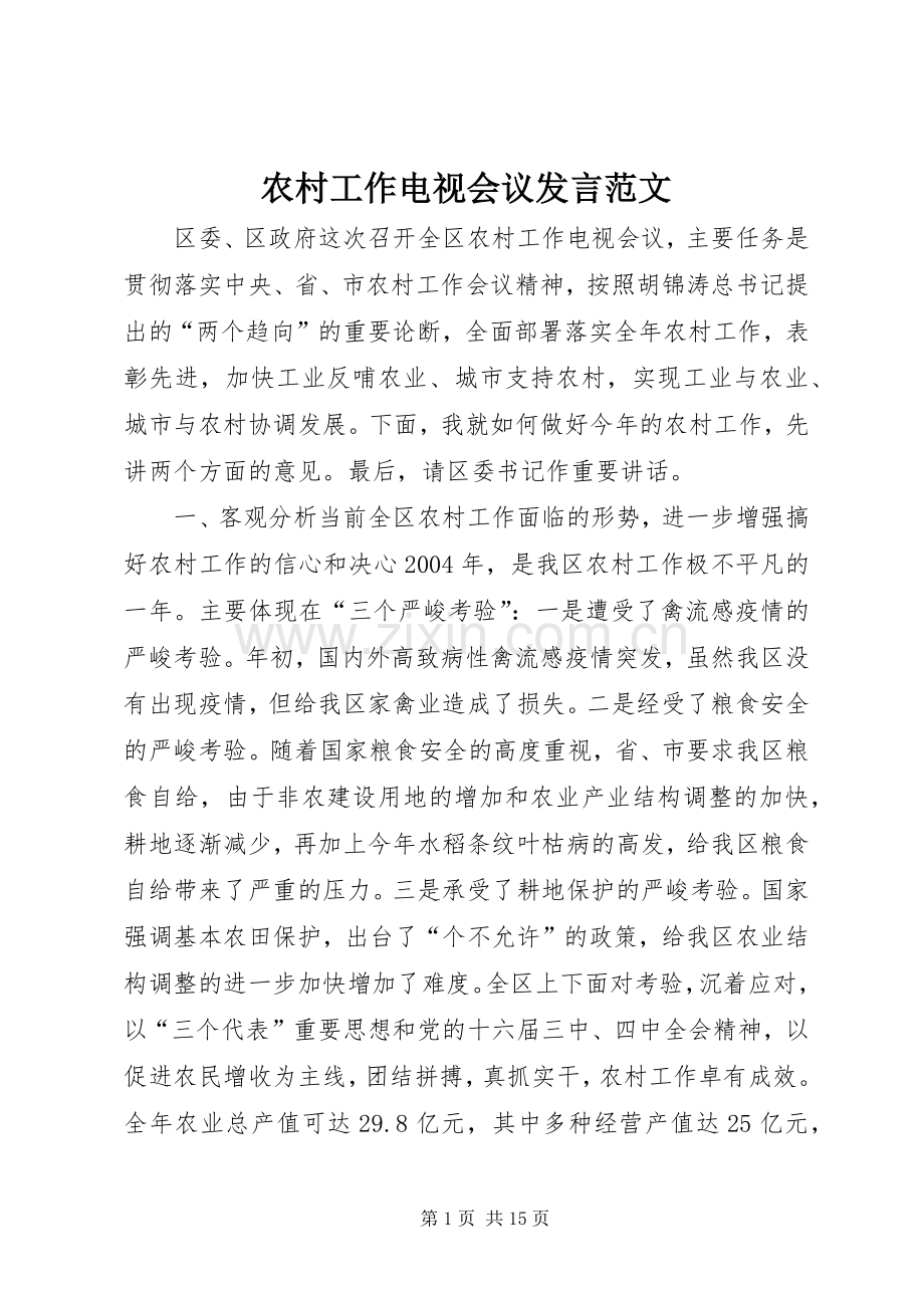 农村工作电视会议发言稿范文.docx_第1页