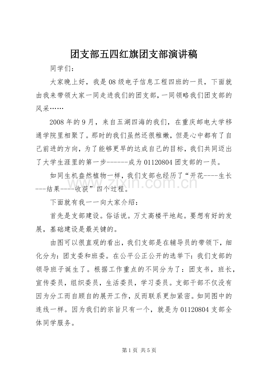 团支部五四红旗团支部演讲稿范文.docx_第1页