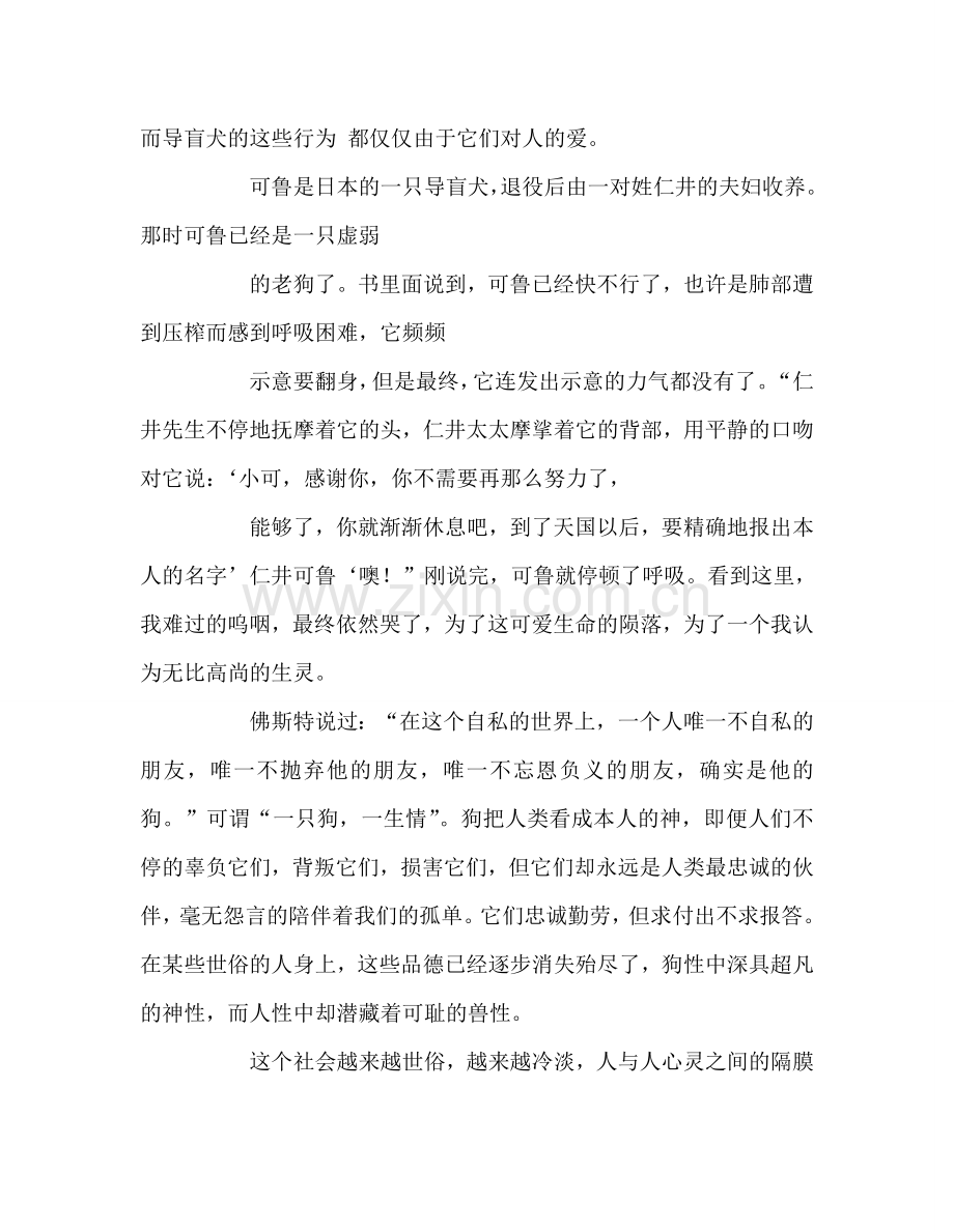 教师个人参考计划总结读《再见了可鲁》有感.doc_第2页