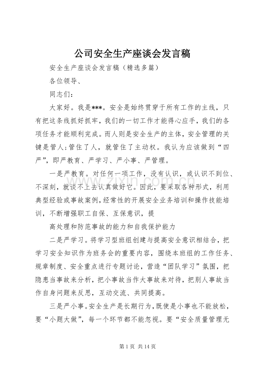 公司安全生产座谈会发言稿范文.docx_第1页
