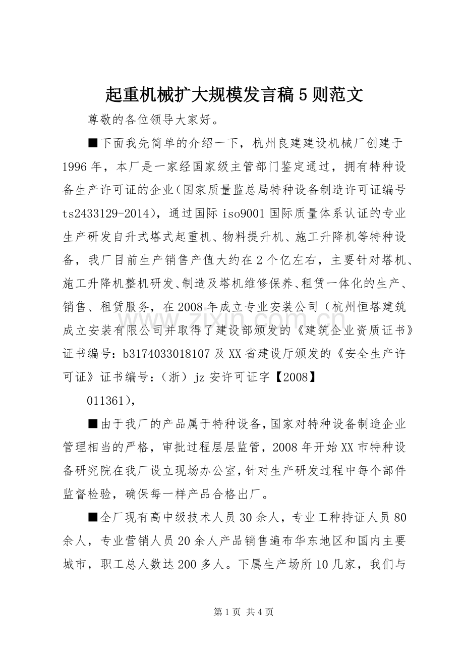 起重机械扩大规模发言5则范文.docx_第1页