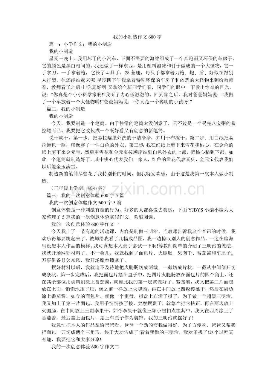 我的小制作作文600字.doc_第1页