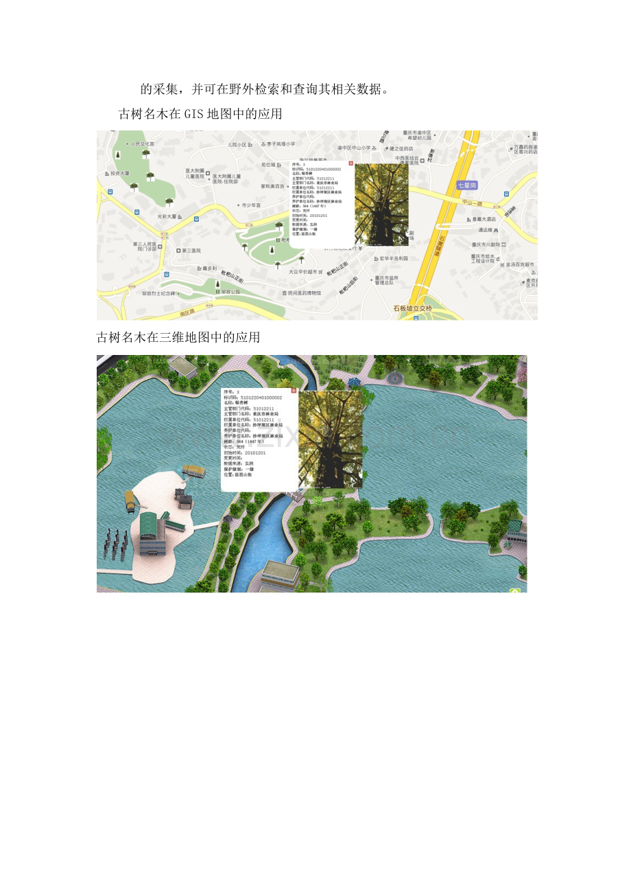 林业局绿化管理信息系统.doc_第2页