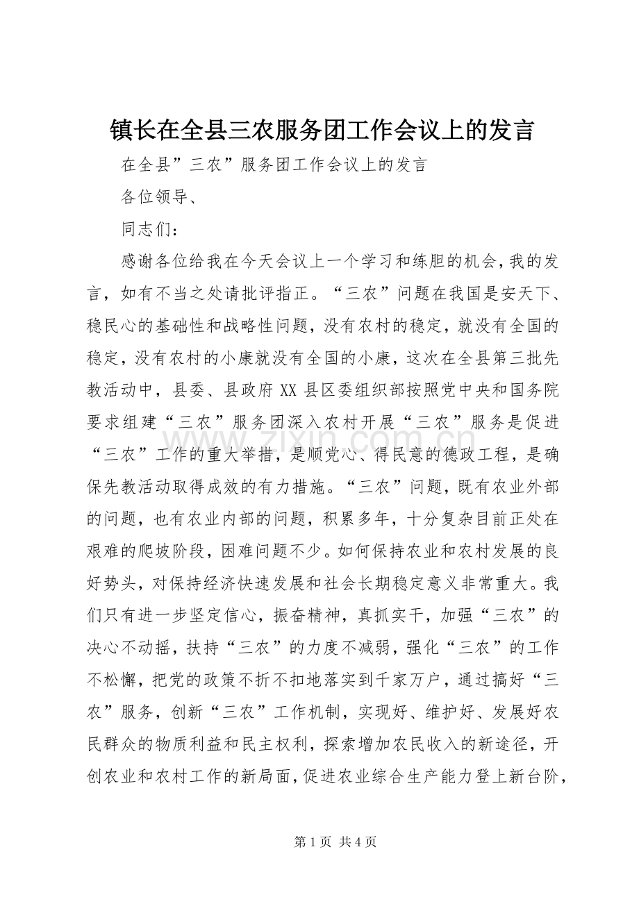 镇长在全县三农服务团工作会议上的发言稿 (2).docx_第1页