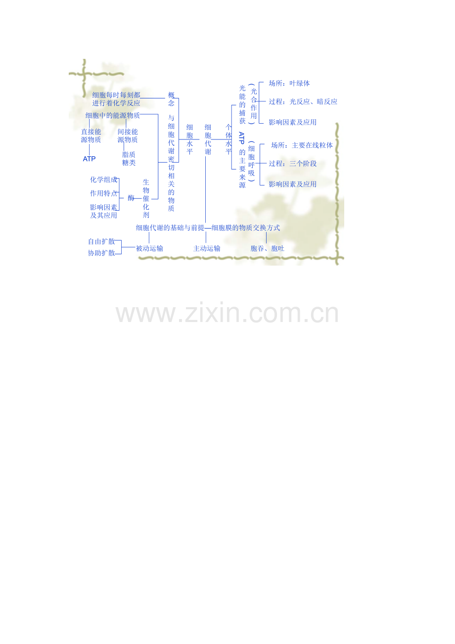 细胞代谢结构图.docx_第1页