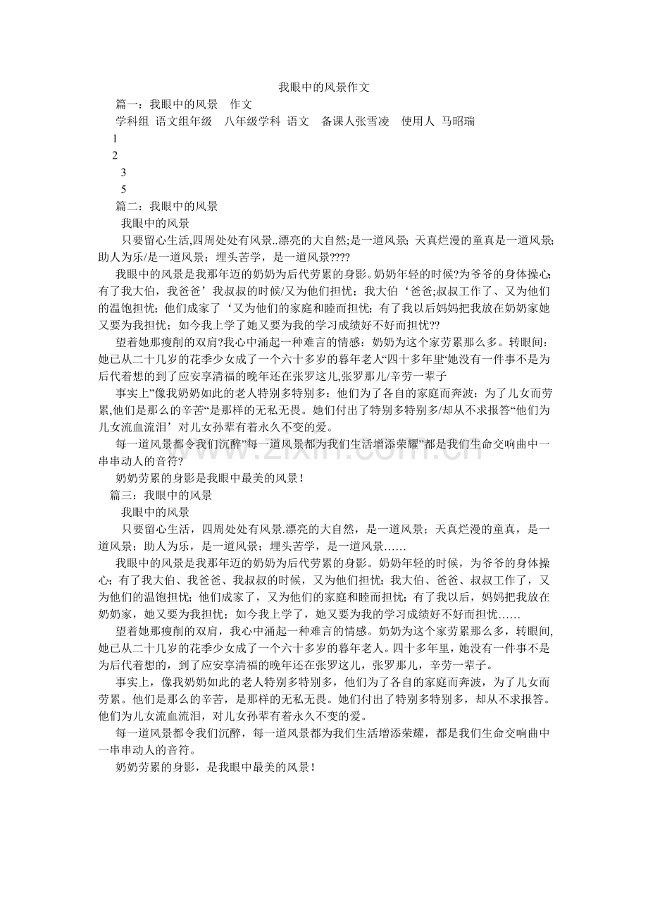我眼中的风景作文.doc_第1页