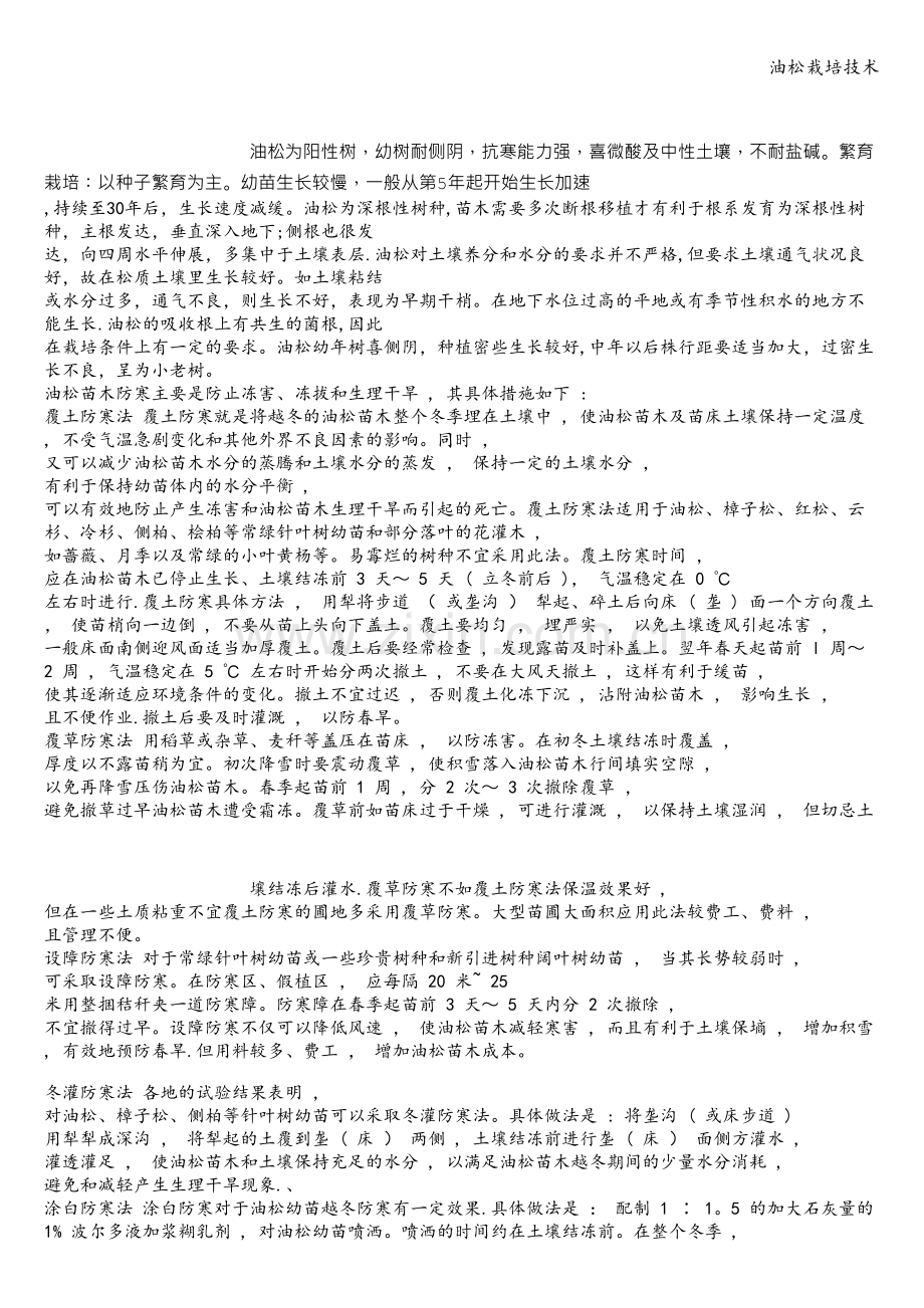 油松栽培技术.doc_第1页