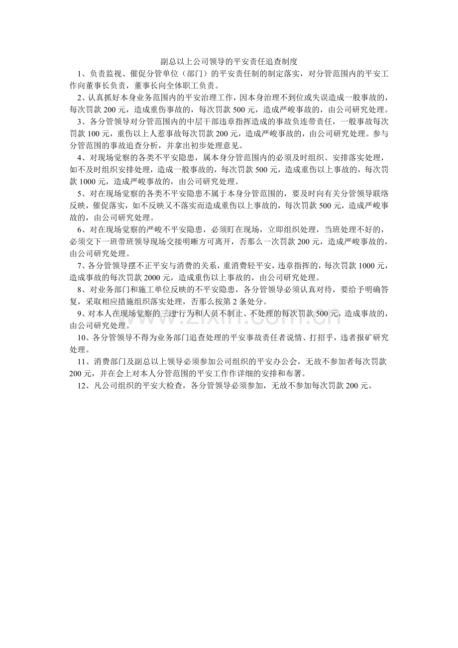 副总以上公司领导的安全责任追究制度.doc_第1页